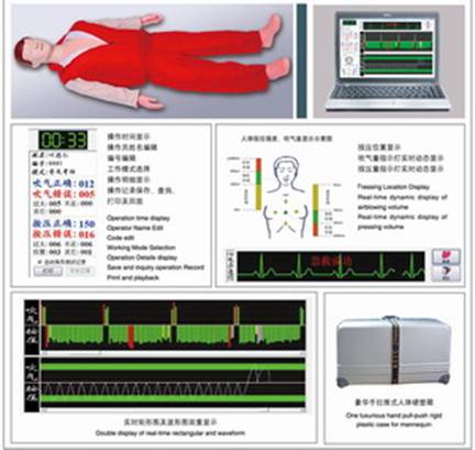 心肺复苏模拟人,安监培训模拟人,电力急救训练模拟人(图3)